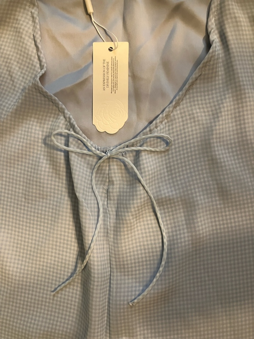 🍋For Love & Lemons Gingham Rose slip dress sz S NWT - Picture 8 of 13